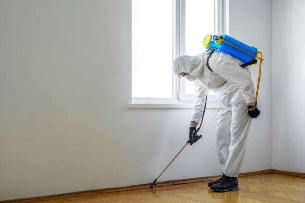 Insect Control in Lykens, PA