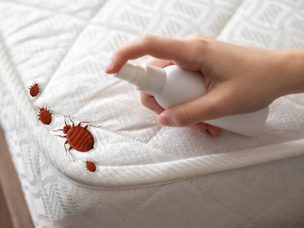 Best Pest Prevention Services  in Lykens, PA