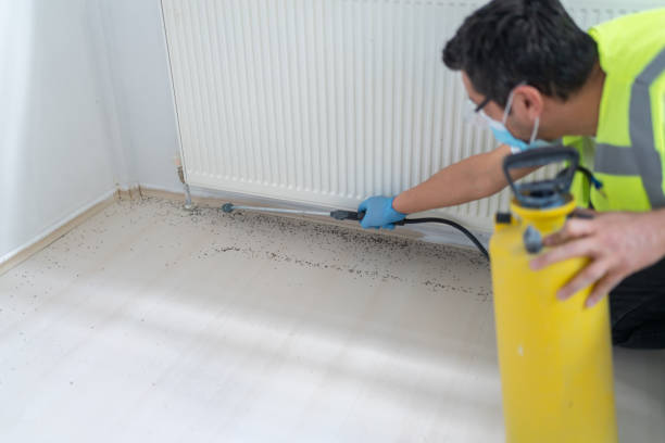 Best Pest Removal Services  in Lykens, PA