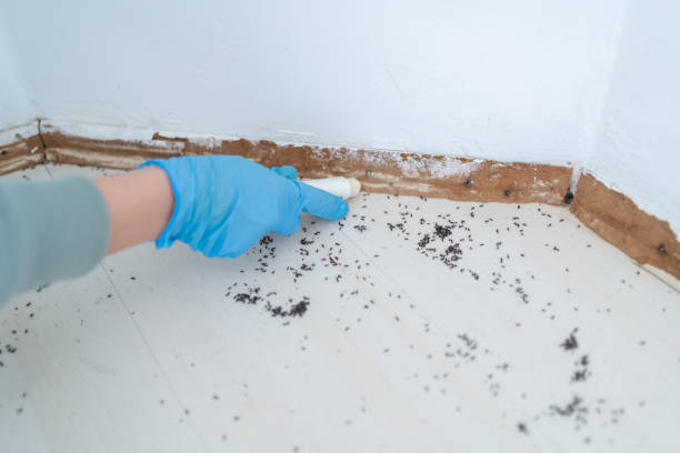 Best Insect Control  in Lykens, PA